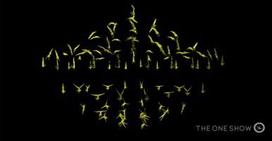 借助Unity实时3D技术，“The ONE Show”全球首现百人空中舞蹈