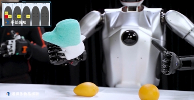 如何使用Xsens动作捕捉系统研发人形机器人